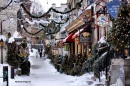 Christmas Time in the Quebec City